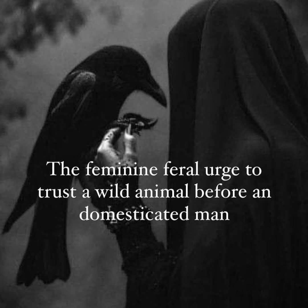 Post media shared by mamaraven